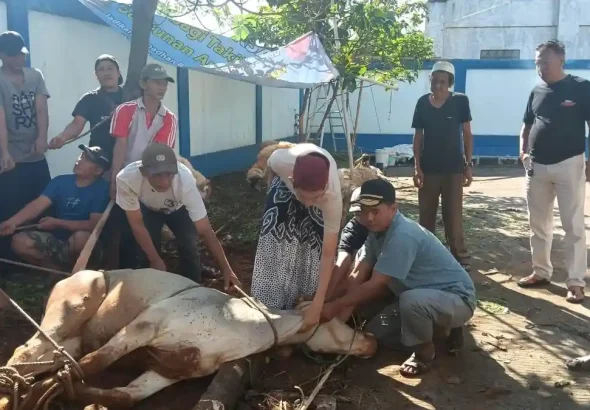 Kurban-PWI-Kabupaten-Bogor