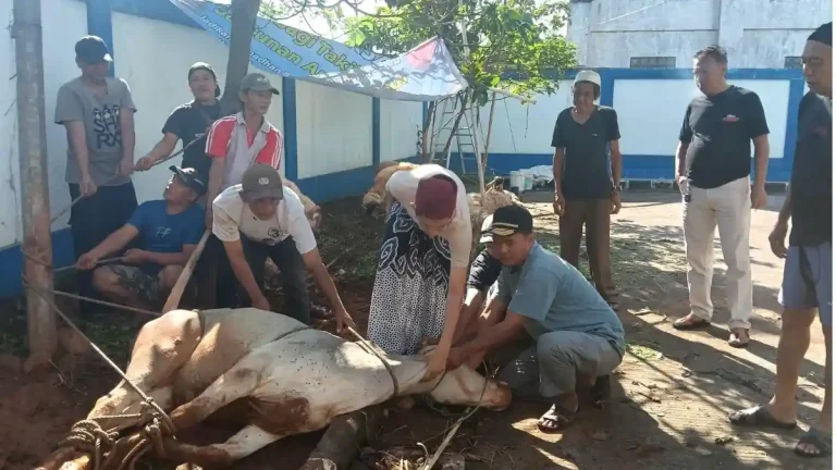 Kurban-PWI-Kabupaten-Bogor